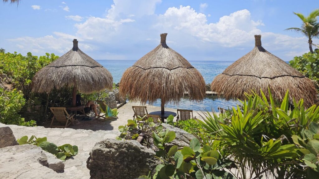 海辺のリゾートに並ぶ茅葺き屋根のパラソルとデッキチェア